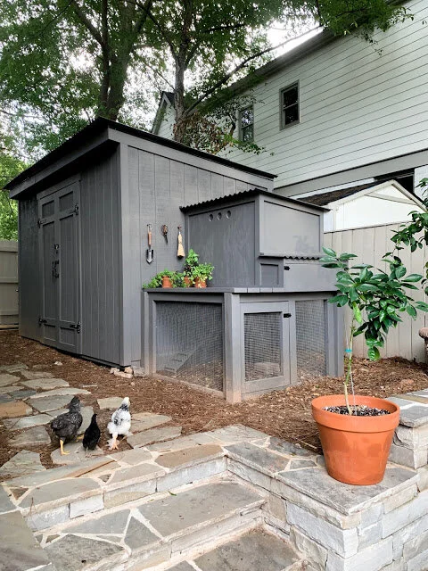 We Have Chickens + DIY Chicken Coop