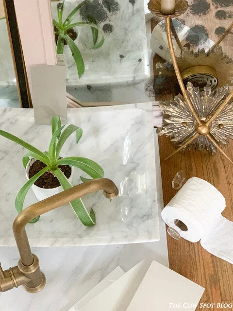 Guest Bath Remodel - THE BEFORE