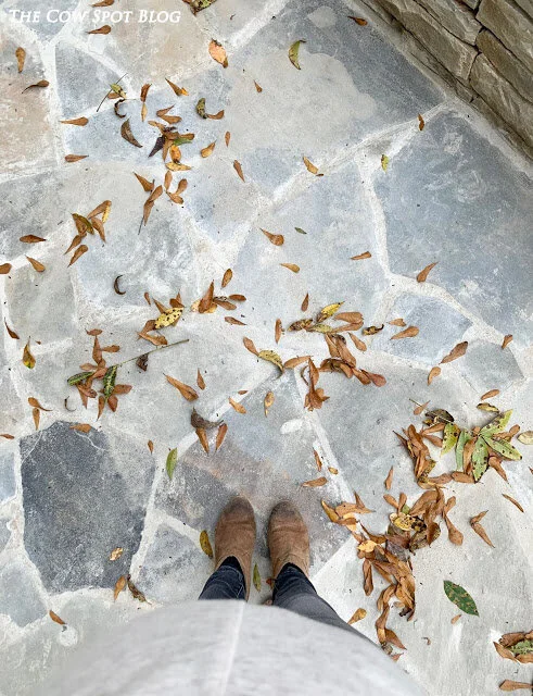 Pool Update + Living & Learning Confession