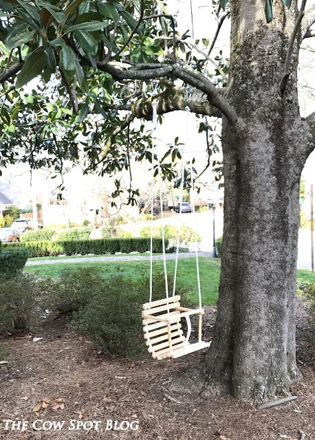 Tree Swing