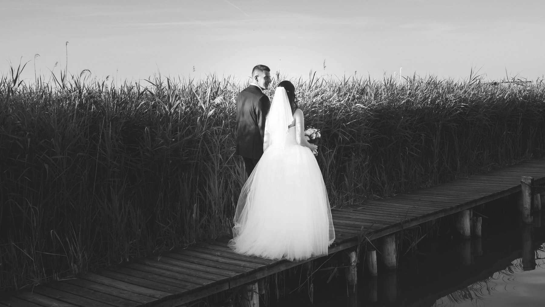 Hochzeit in Rust Neusiedler See-46.JPG