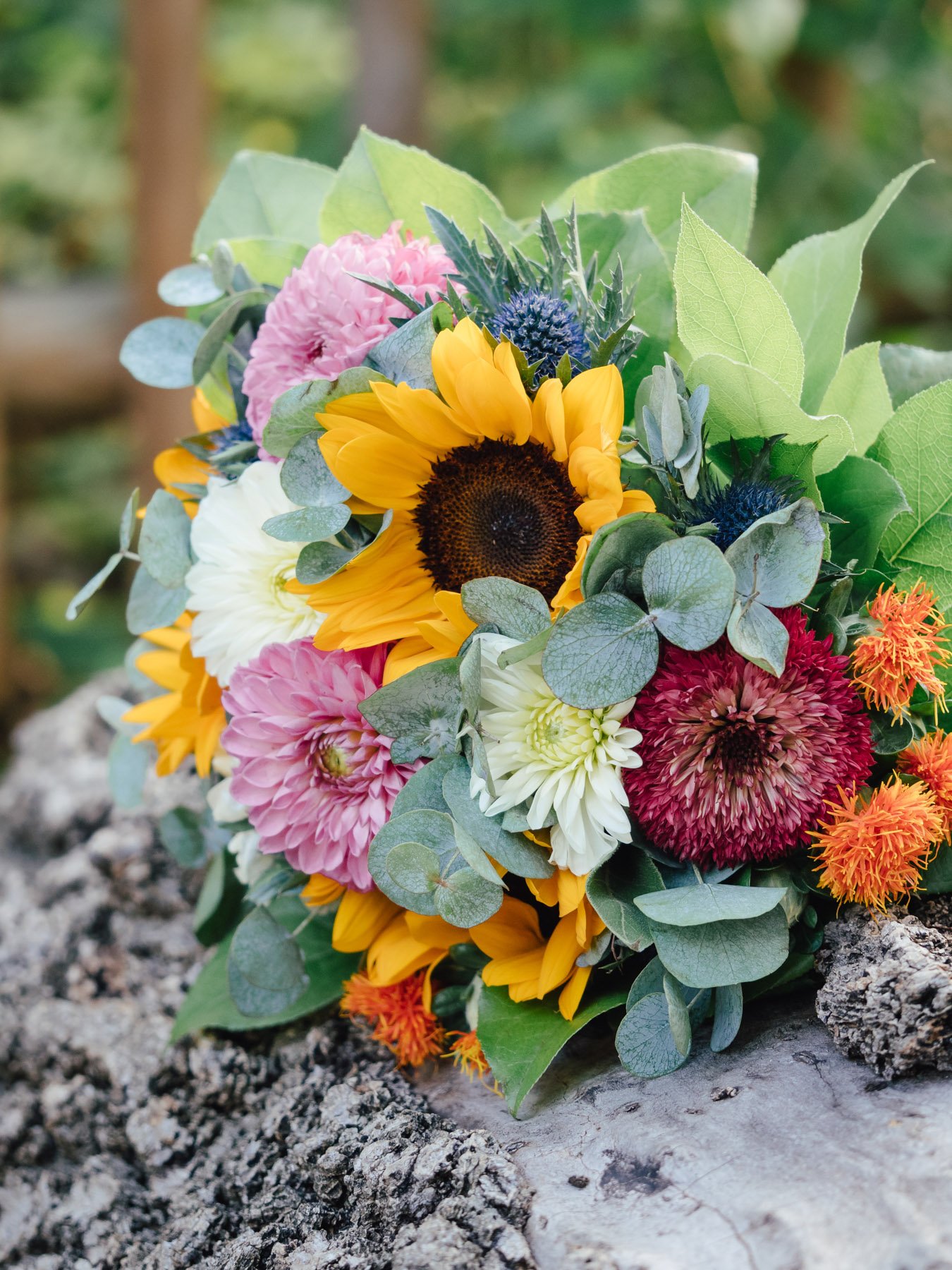 Hochzeit in Tattendorf Rahofer Bräu Niederösterreich-53.JPG