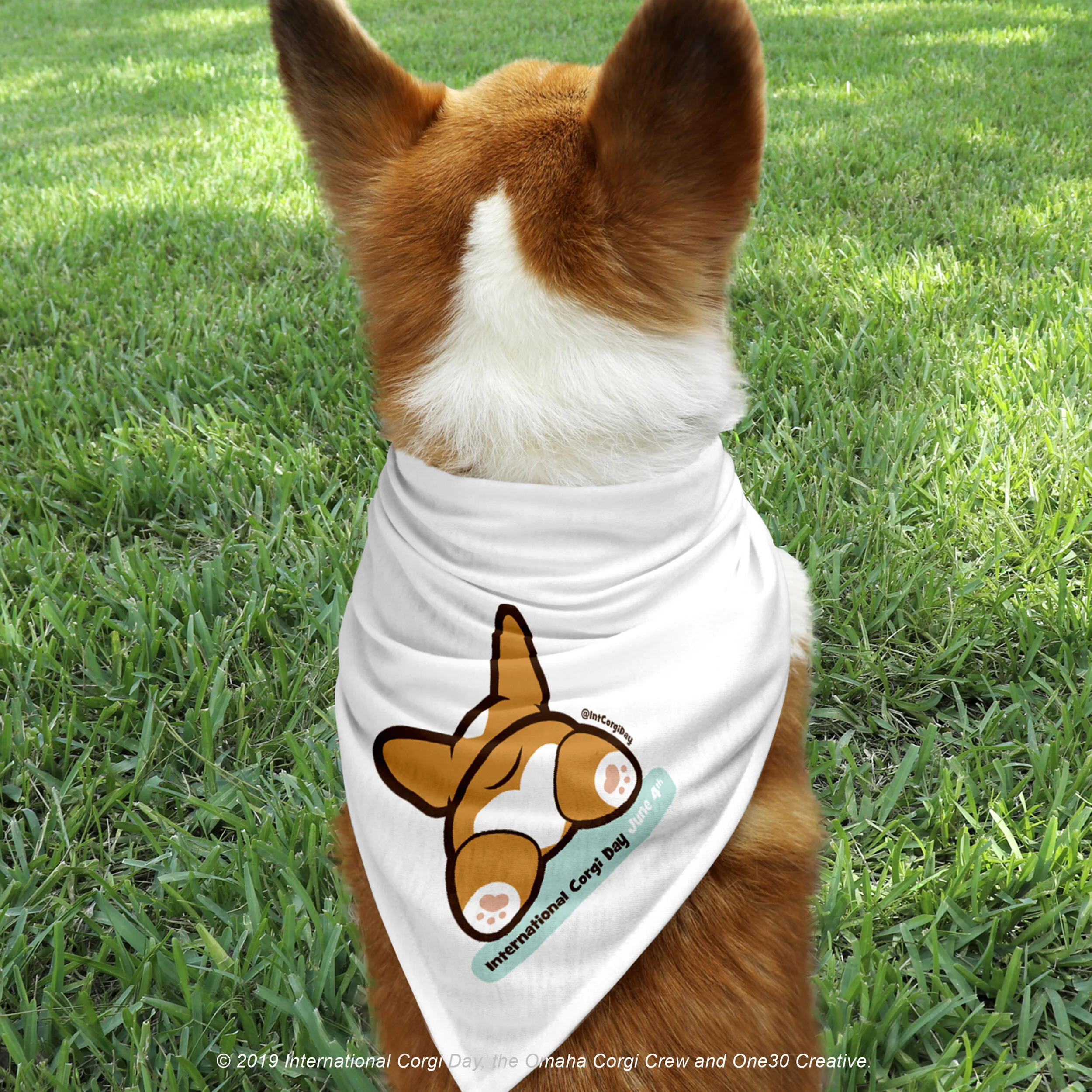 ICD Bandana Mockup_square_order.jpg