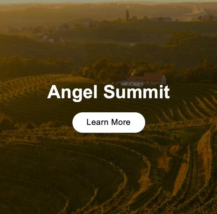 LAUNCH ANGEL SUMMIT 2020