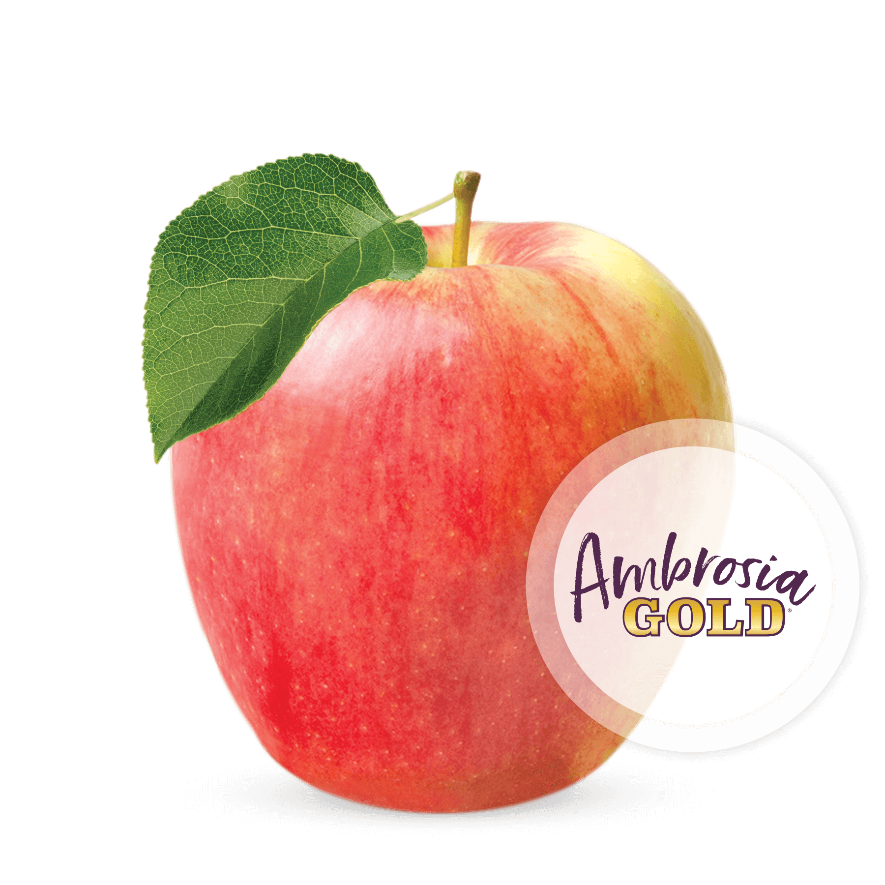 Ambrosia Gold® — CMI Orchards