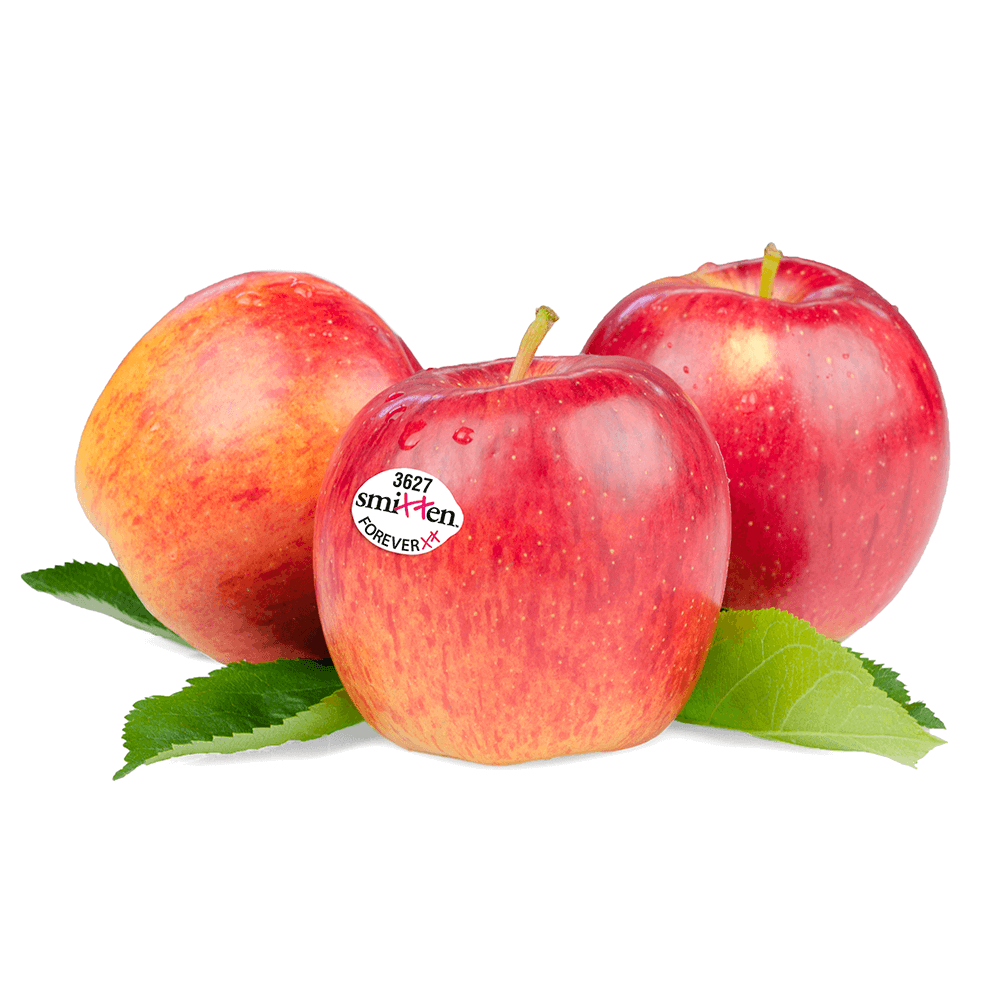 Smitten-Apples-Group-1-Web.png