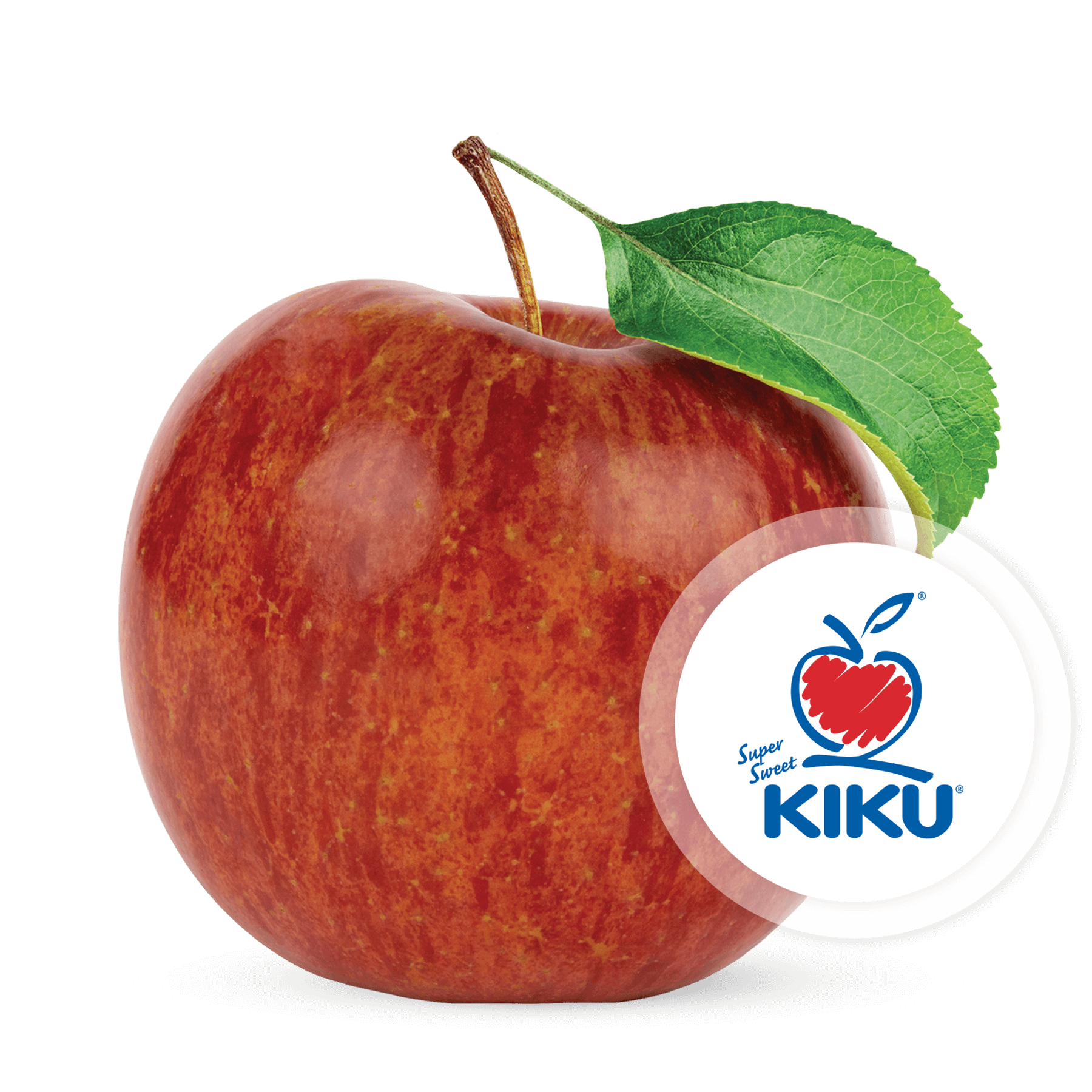 KIKU-Logo.png