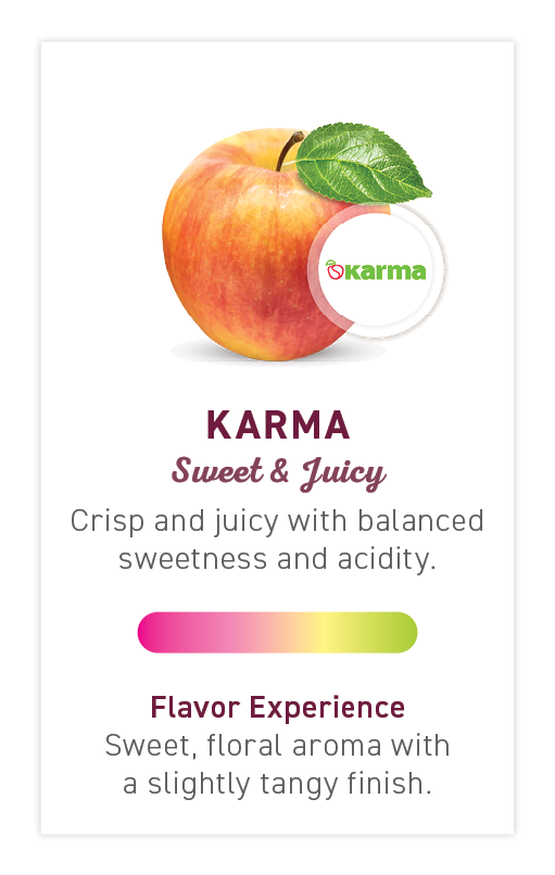 Flavogram-Tiles-Web-English-2024-14-Karma.png