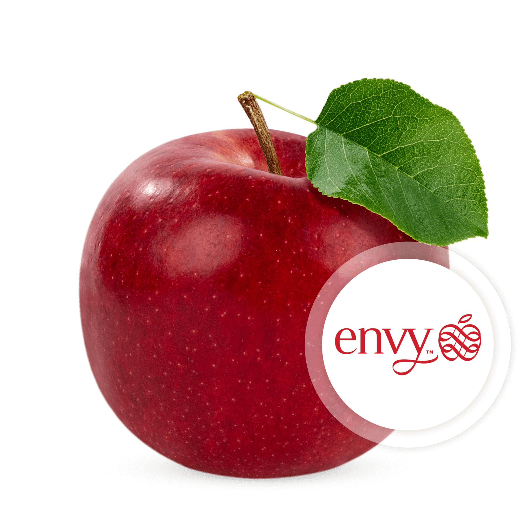Envy-Logo.png