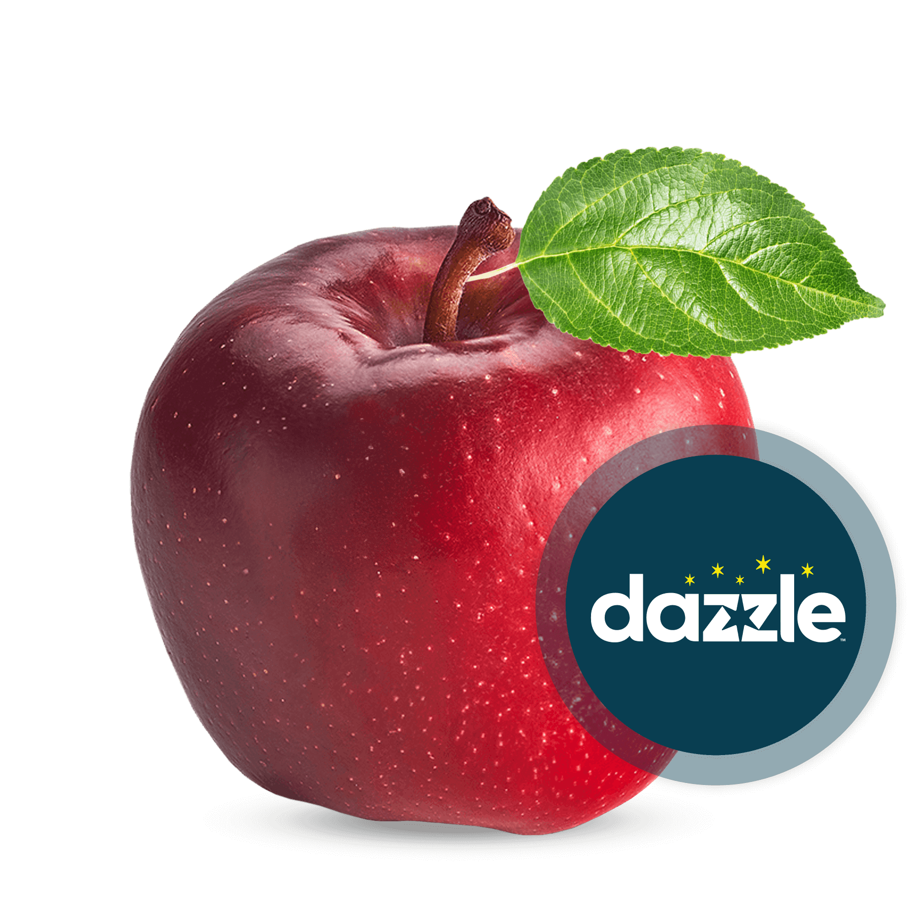 Dazzle-Logo-Color.png