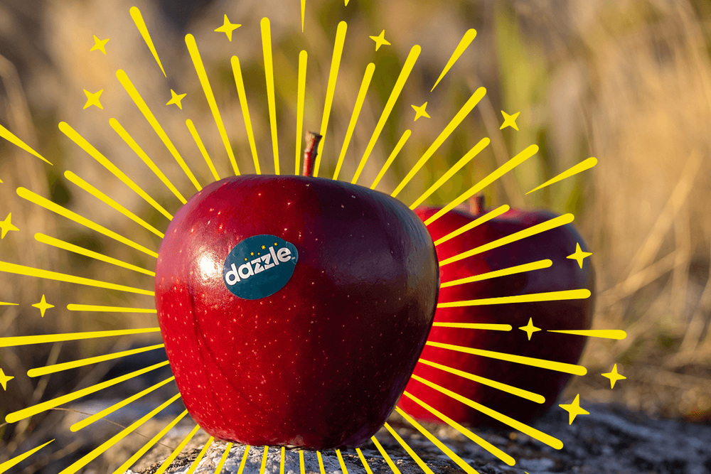 Dazzle™ — CMI Orchards