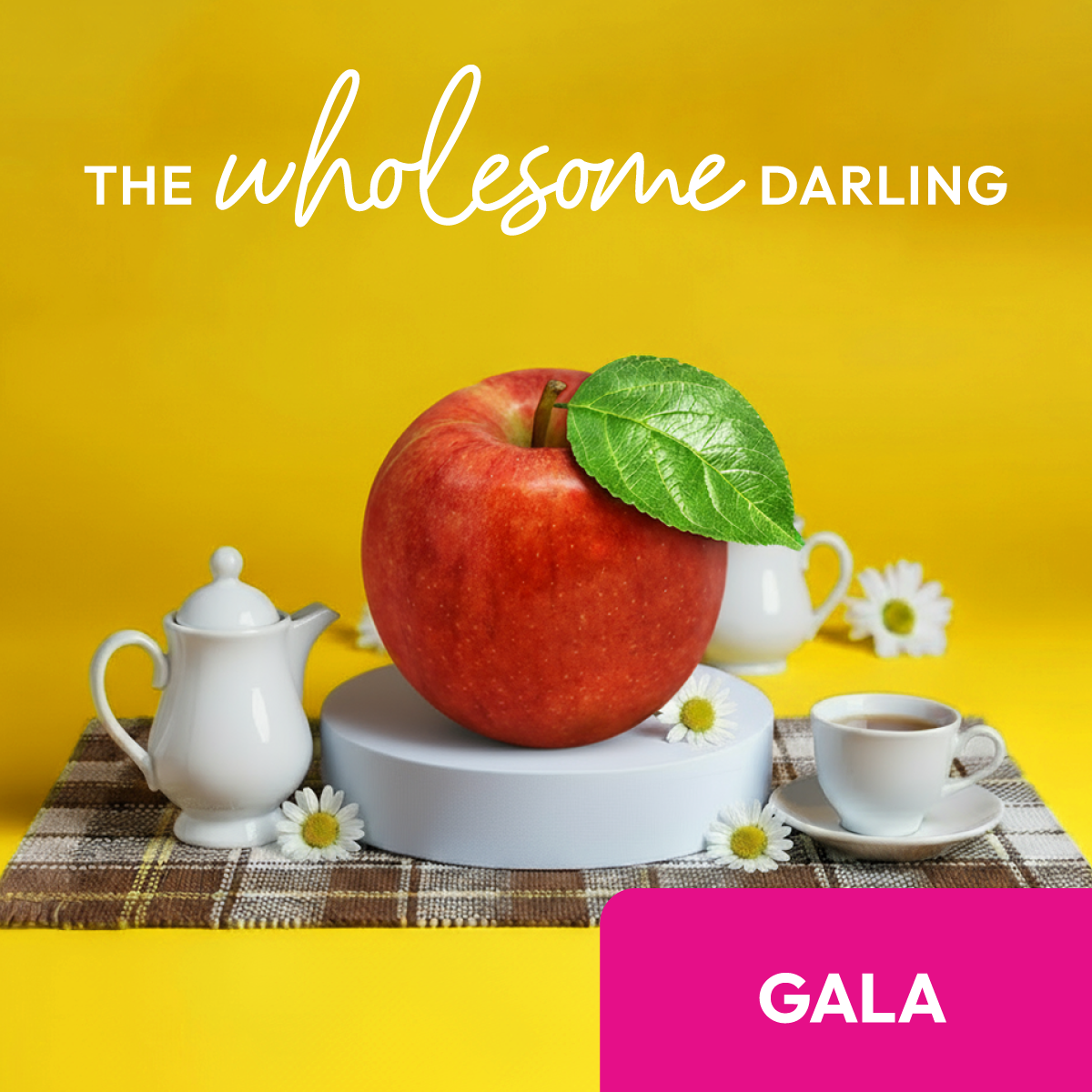 Gala-ac_profile-logo.png