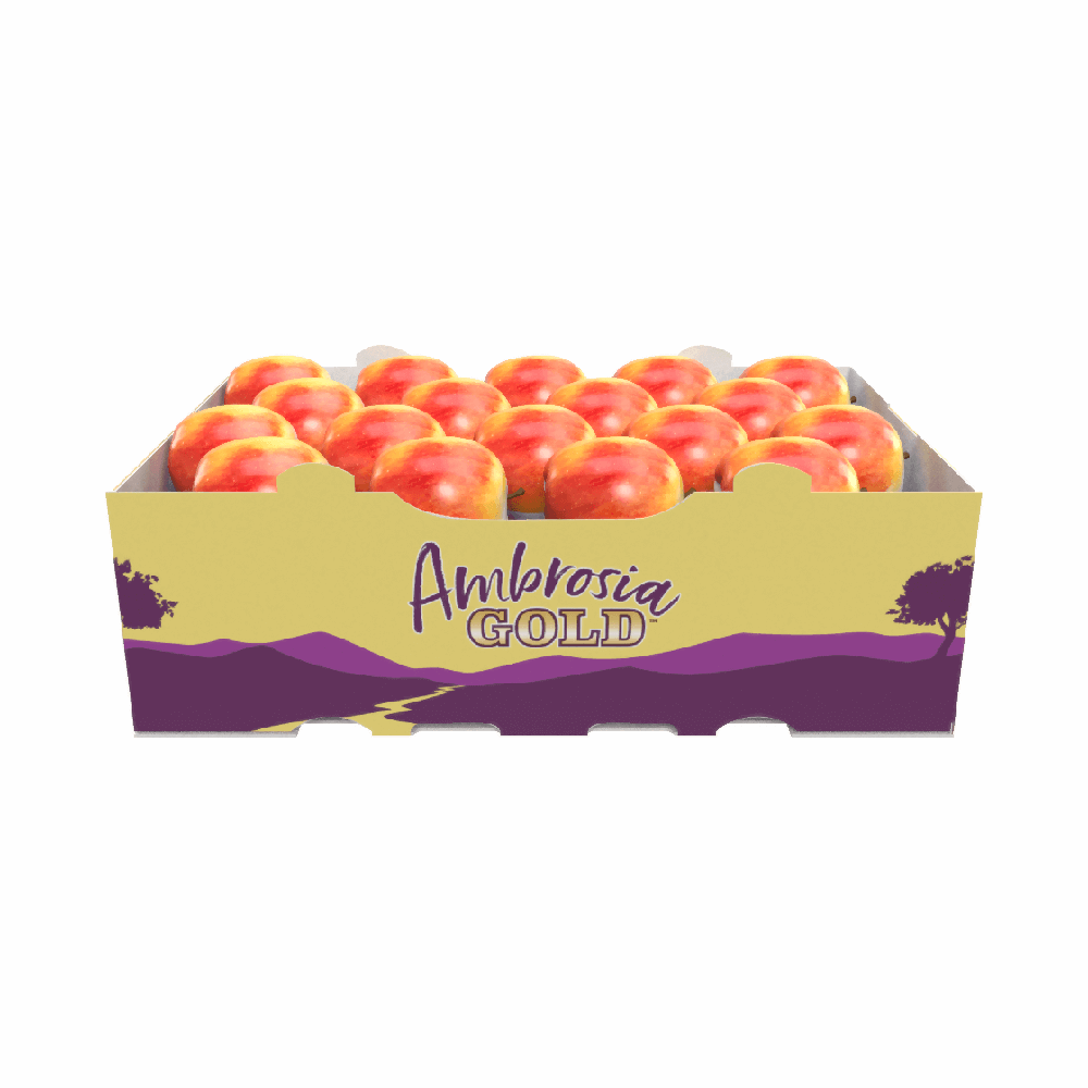 Ambrosia_Gold-Euro_Carton.png