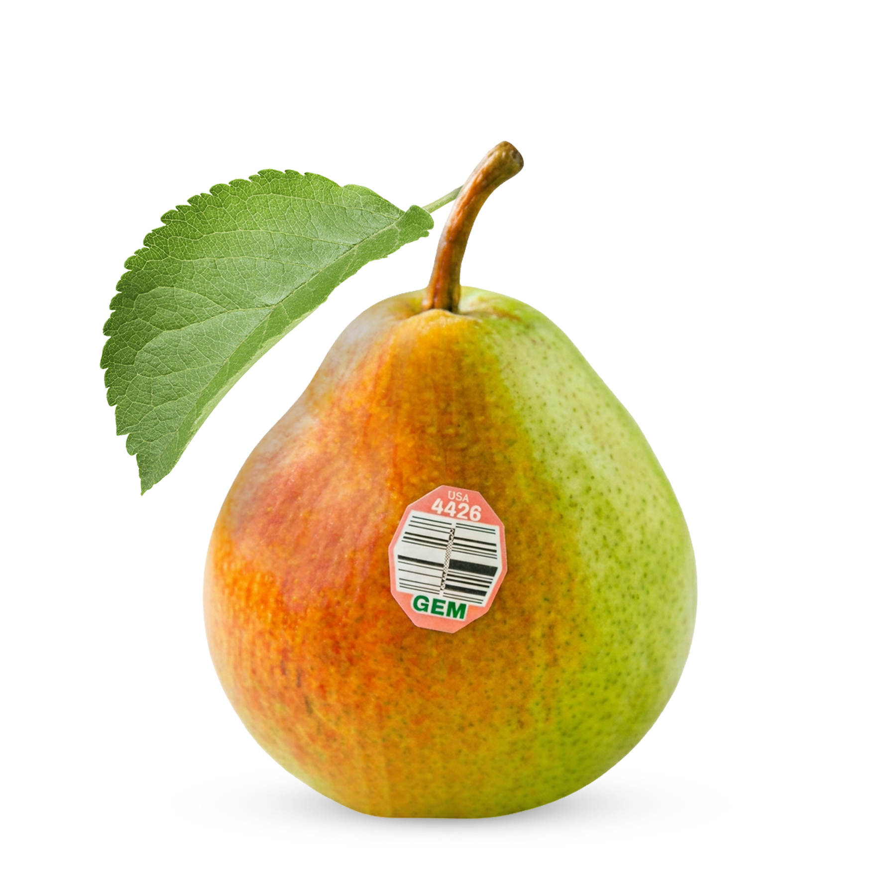 GEM-Pear-6in-Leaf-PLU-2026.png