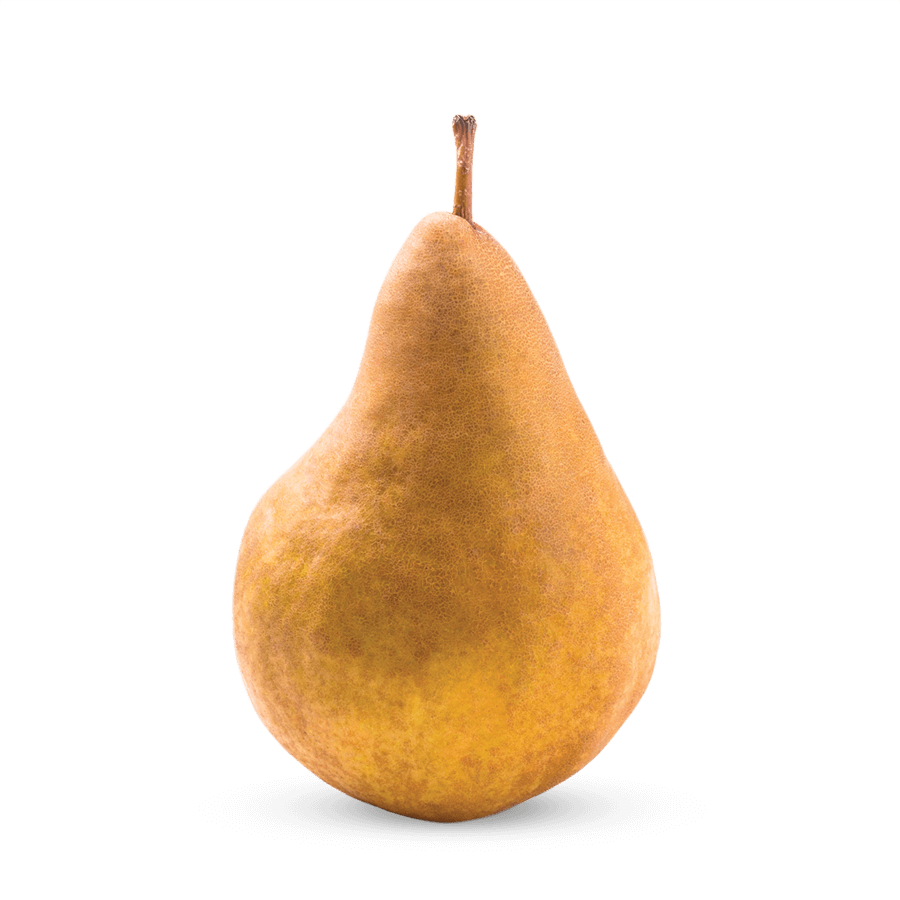 Bosc Pears CMI Orchards Bosc Pears CMI Orchards