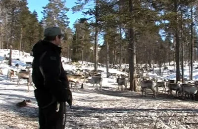 pitesaami.jpg