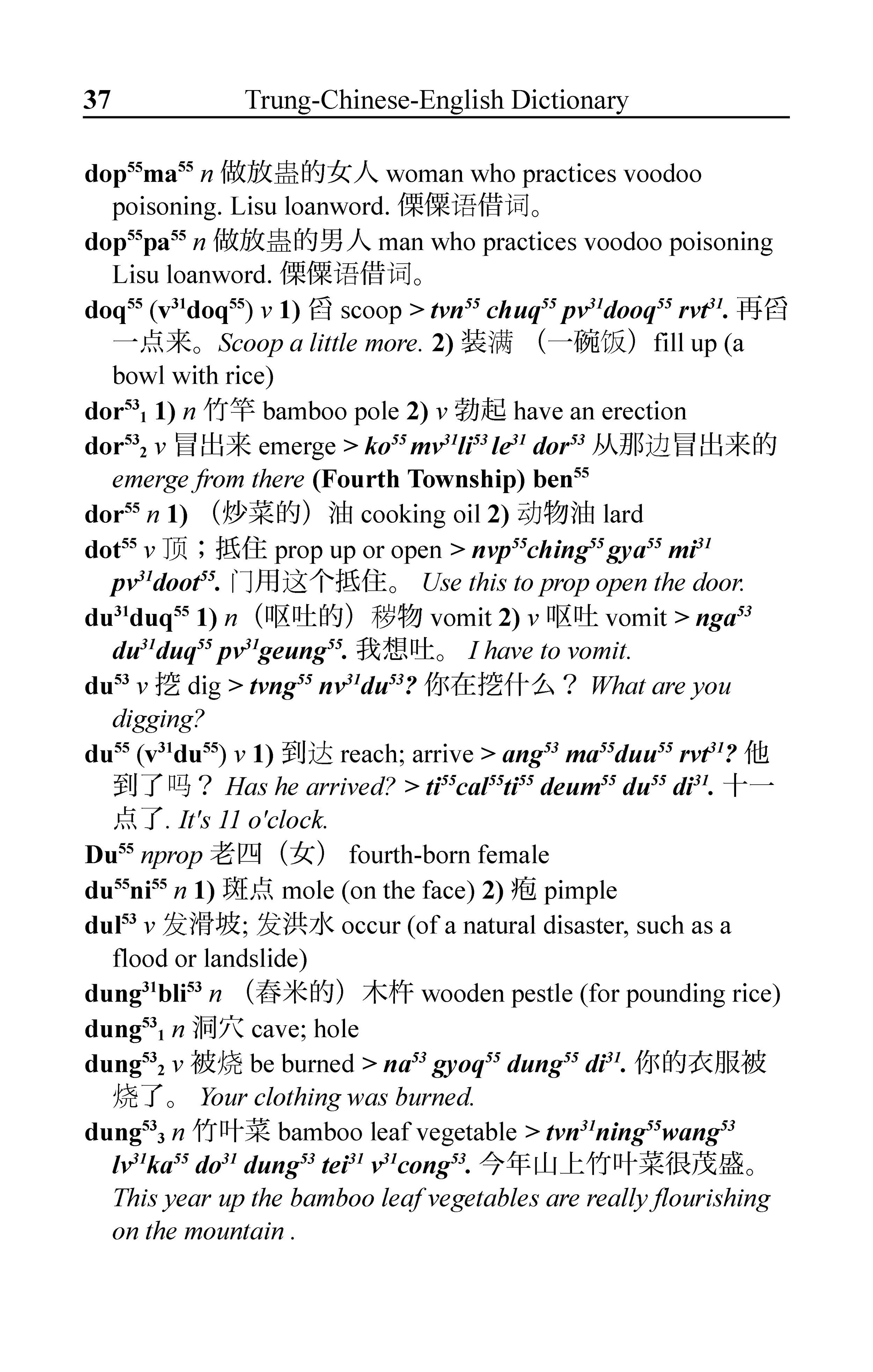 Perlin_Dictionary Pages-1.png
