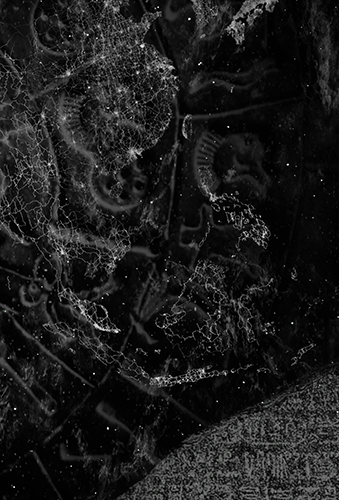 TN_00014v.png