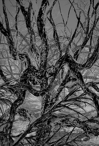 TN_00095V.png