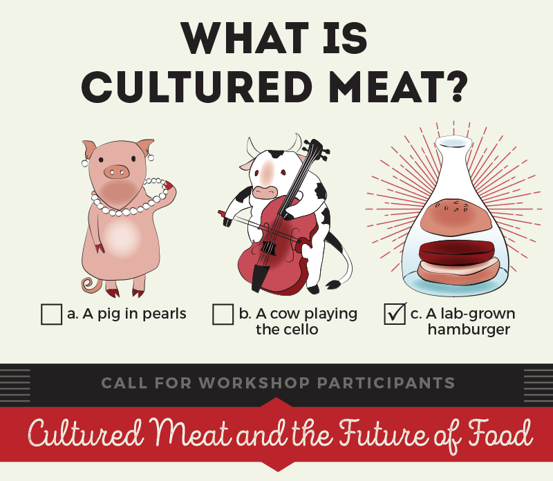Cultured Meat