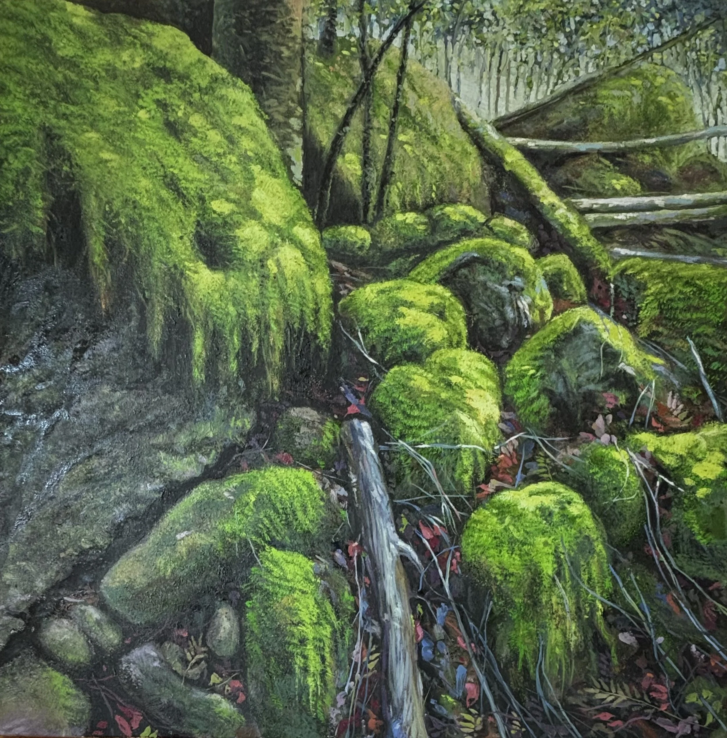 Santa Rosa Mossy Rocks