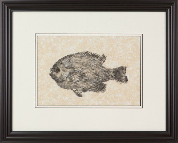 Gyotaku of MN Sunfish.jpg