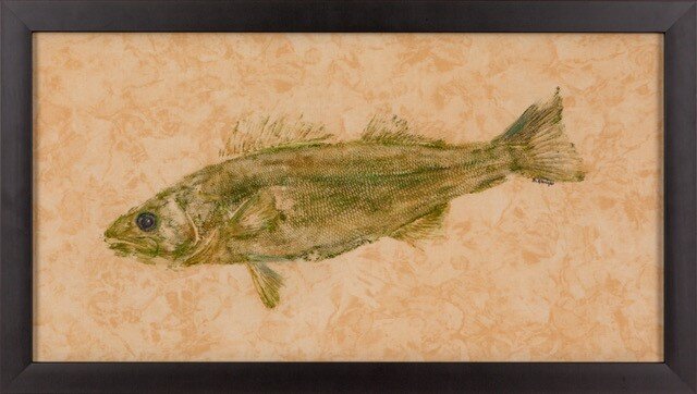 Gyotaku of MN Walleye.jpg