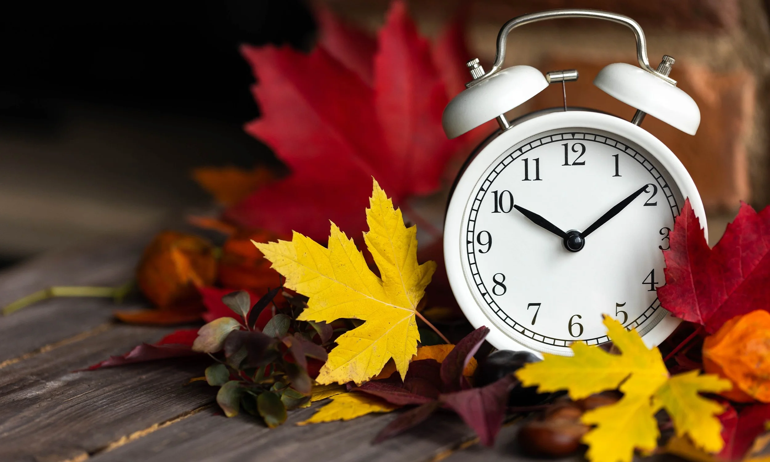 DAYLIGHT SAVINGS TIME ENDS