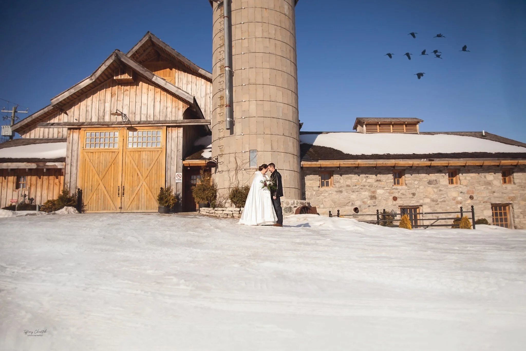 Tiffany Chantel Photography