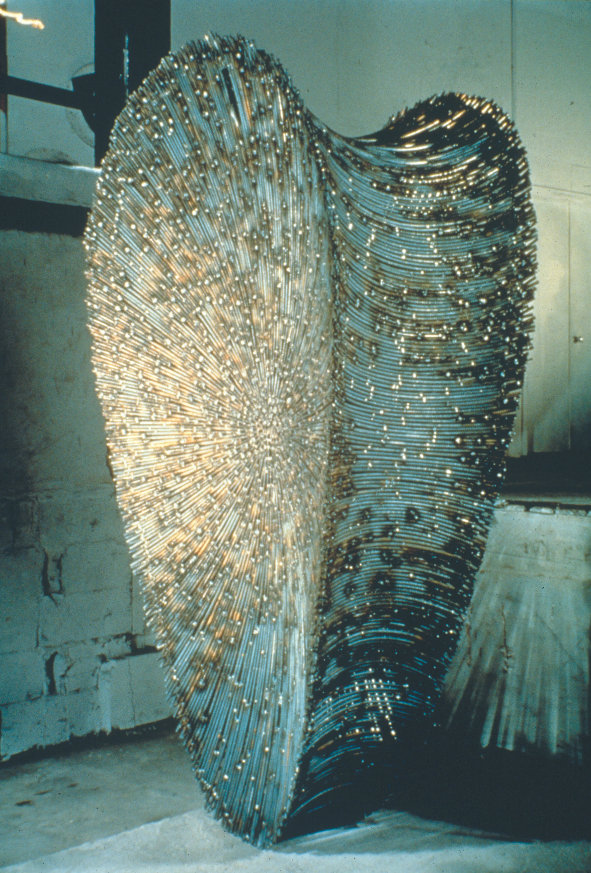 Untitled (Scallop, Harris)