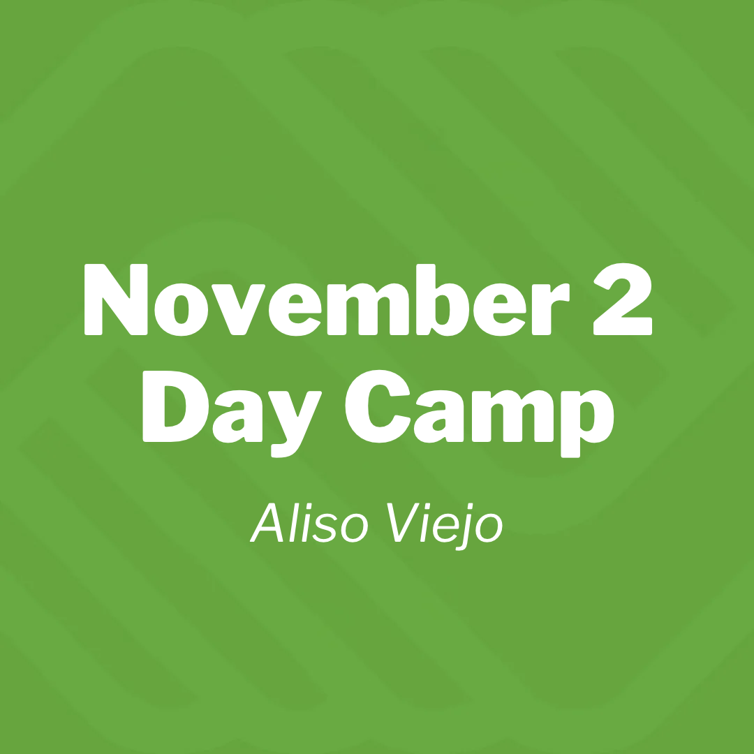 AV day camp pic for SS.png