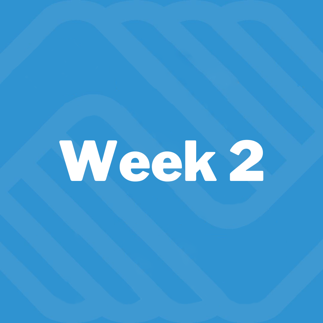 Week 2: June 15 – June 19