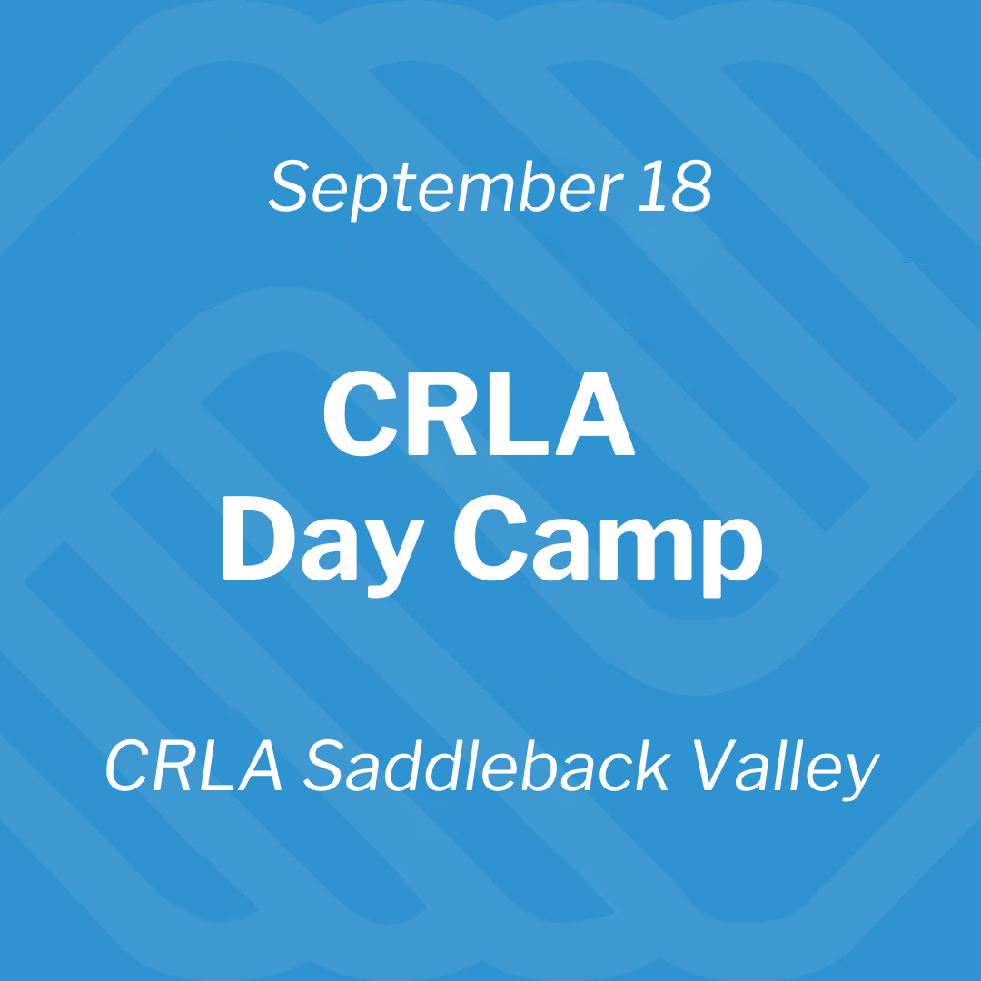 crla day camp thumbnail.png