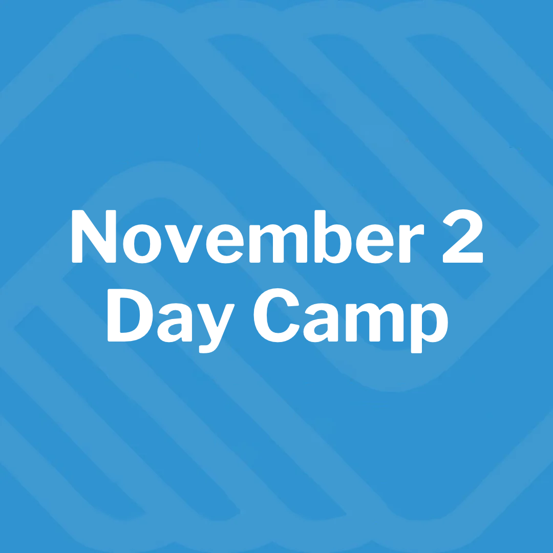 Day Camp Cover for SS.png