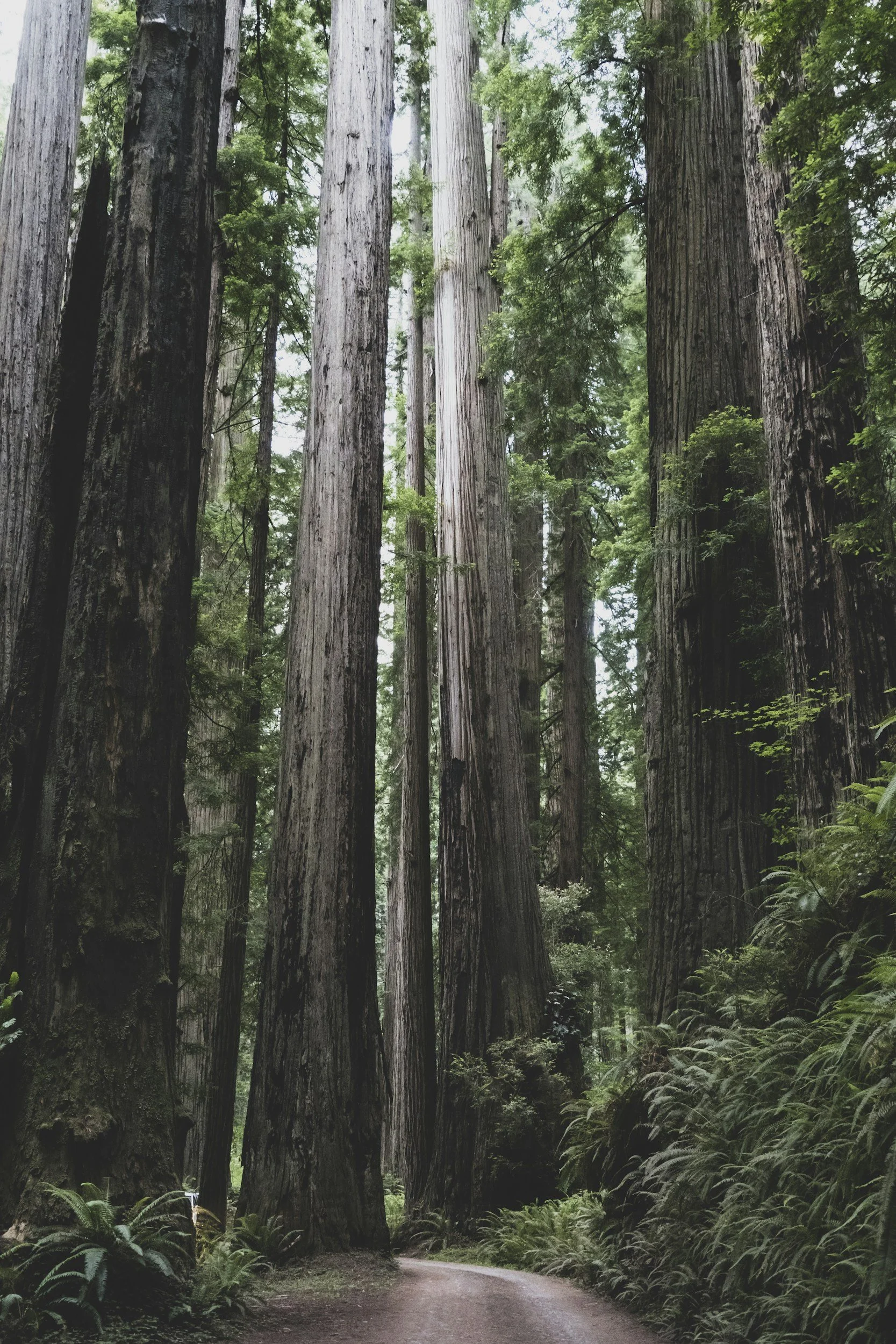 unsplash-image-M-BLte_HpVI.jpg