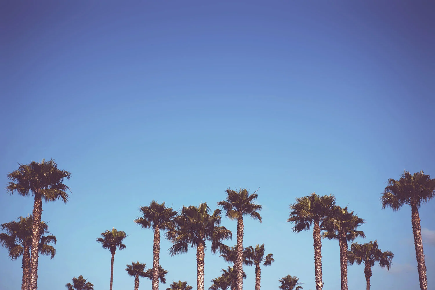 tim-mossholder-kIL2HHSetHI-unsplash.jpg