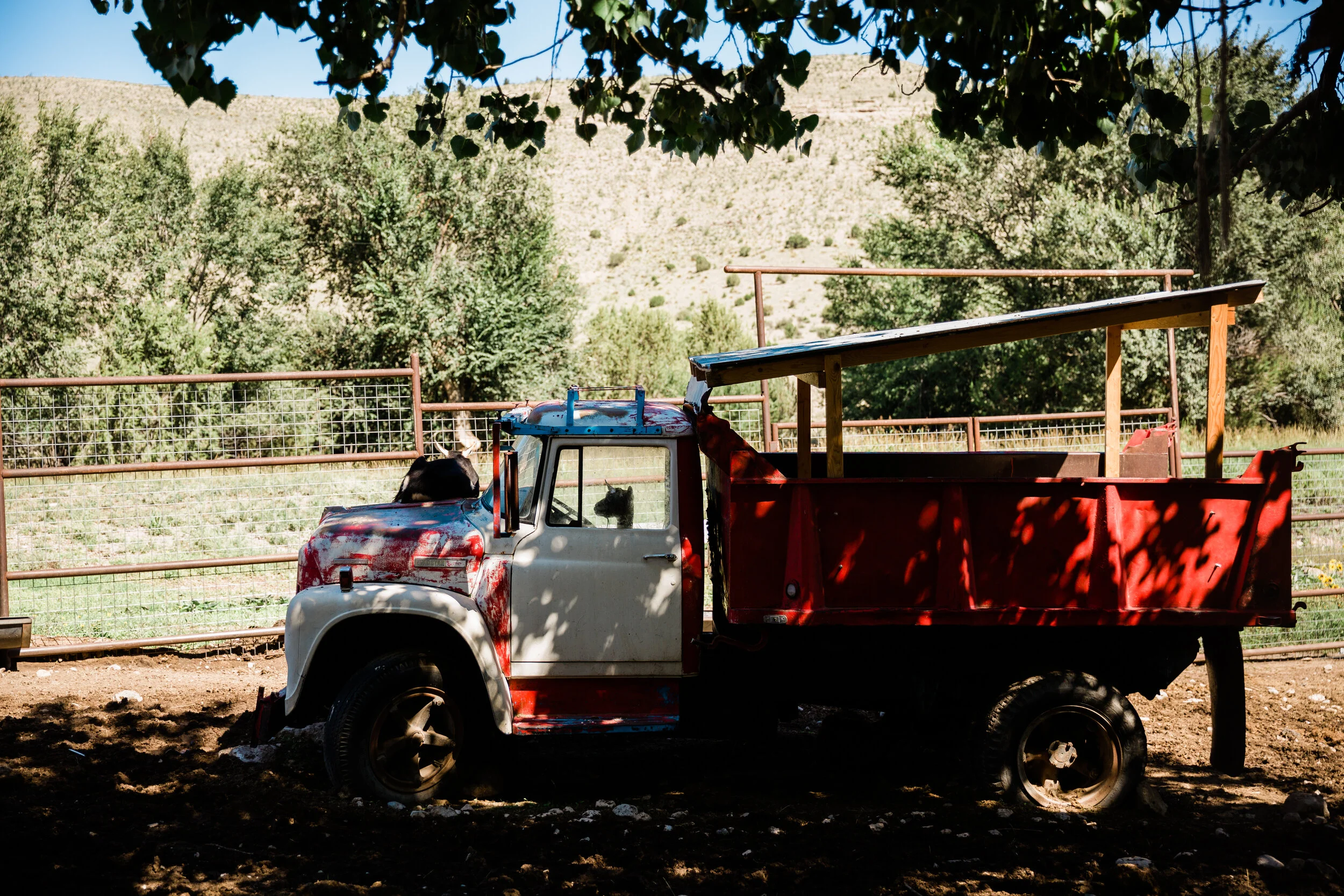 NewMexicoAdventure-246.jpg