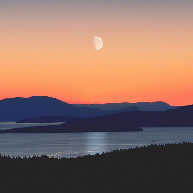 Happy new moon in Sagittarius🌕  It&rsquo;s a powerful time to set some new intentions and goals for the future✨Lots of support with stepping into new possibilities and opportunities. Dream big!!!🌙 I love aligning with the moon cycles and energy by 
