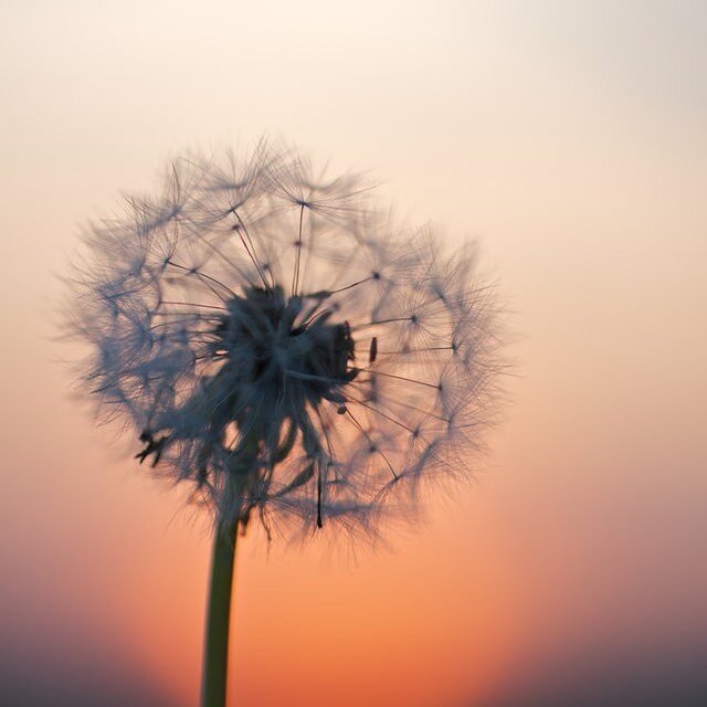 In light of everything that is going on right now, I&rsquo;d like to offer free or donation based energy healing and/or coaching sessions. Things feel very uncertain right now and I believe it&rsquo;s critical that we take care of not only our physic