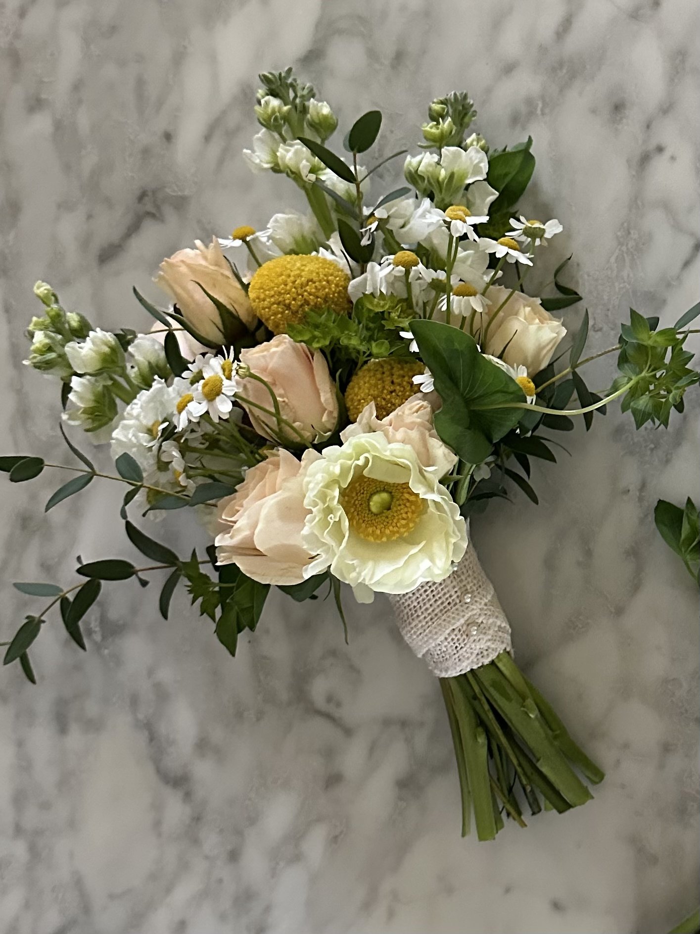 8F58A76F-5362-4AC7-B0D9-06F13DFEF90D