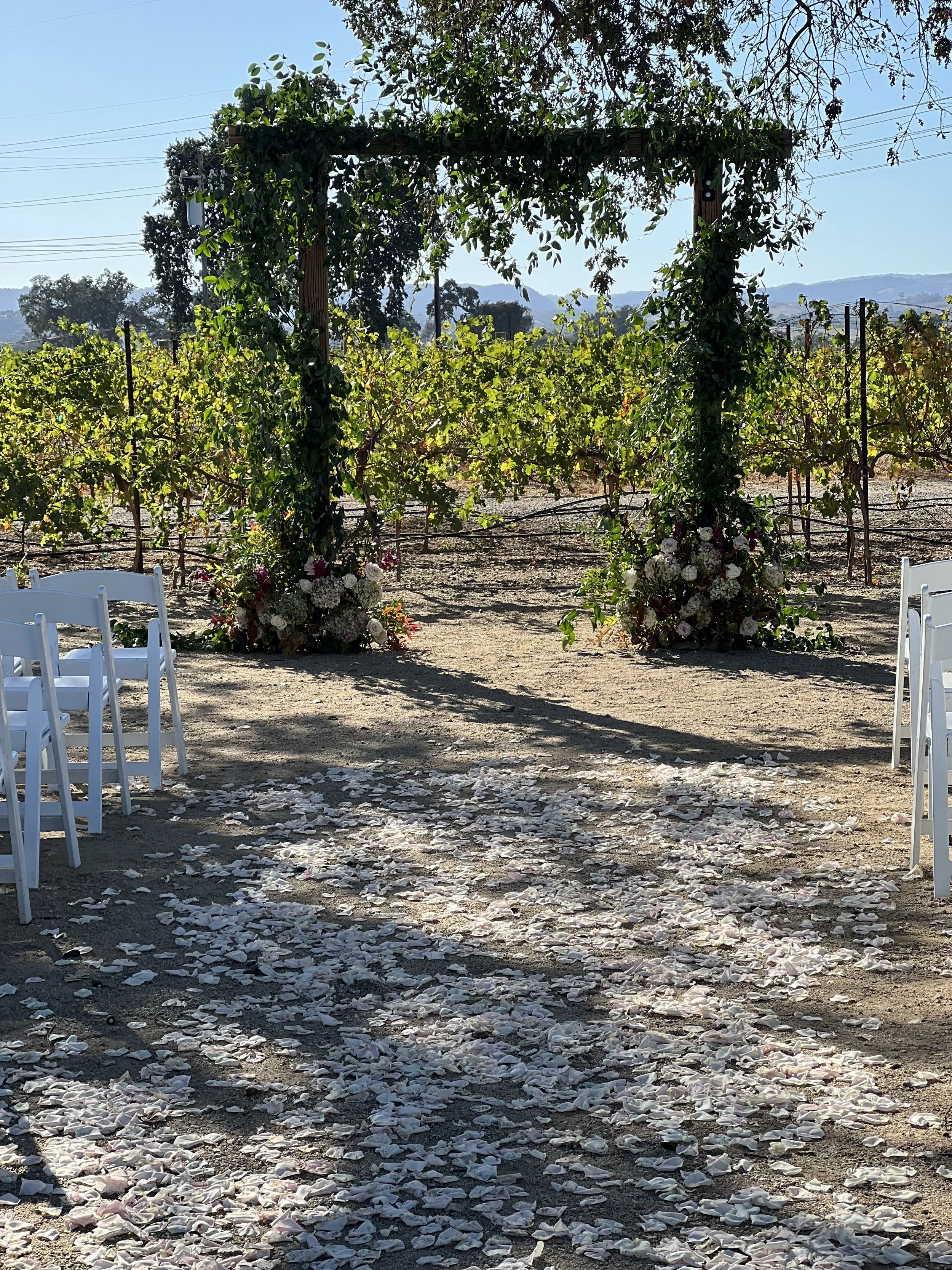 Hannah &amp; Sean's Wedding