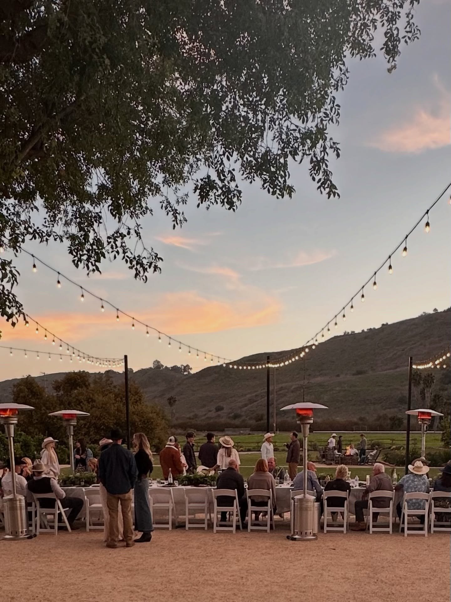 A long table at dusk.

This month, Shawna wrote about trust in our newsletter &mdash; about quieter seasons and letting things unfold.

It felt fitting for February.

Not every season needs to be loud to be meaningful.

There&rsquo;s beauty in lettin