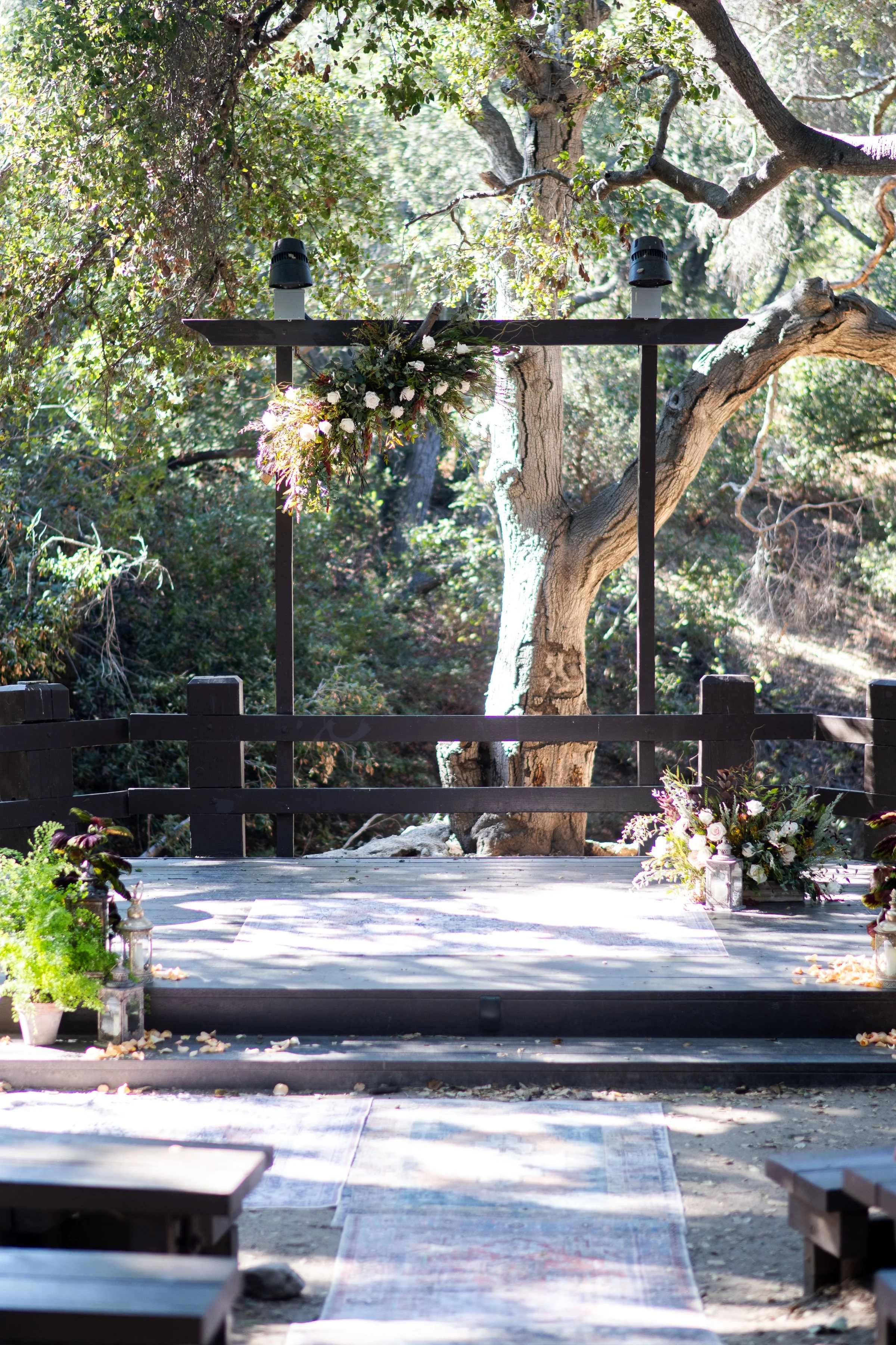 Connie  David-10.jpg