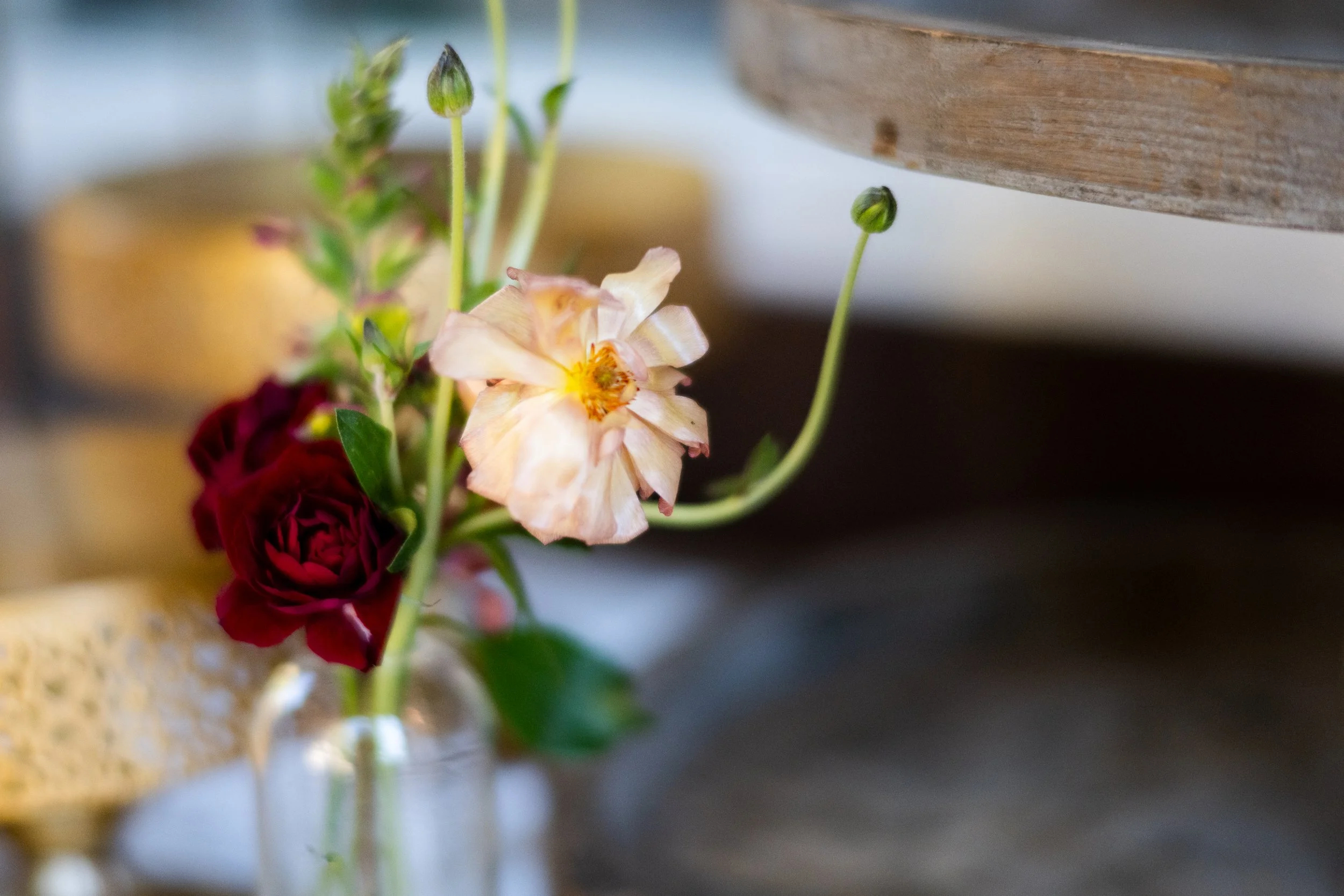 Connie  David-282.jpg