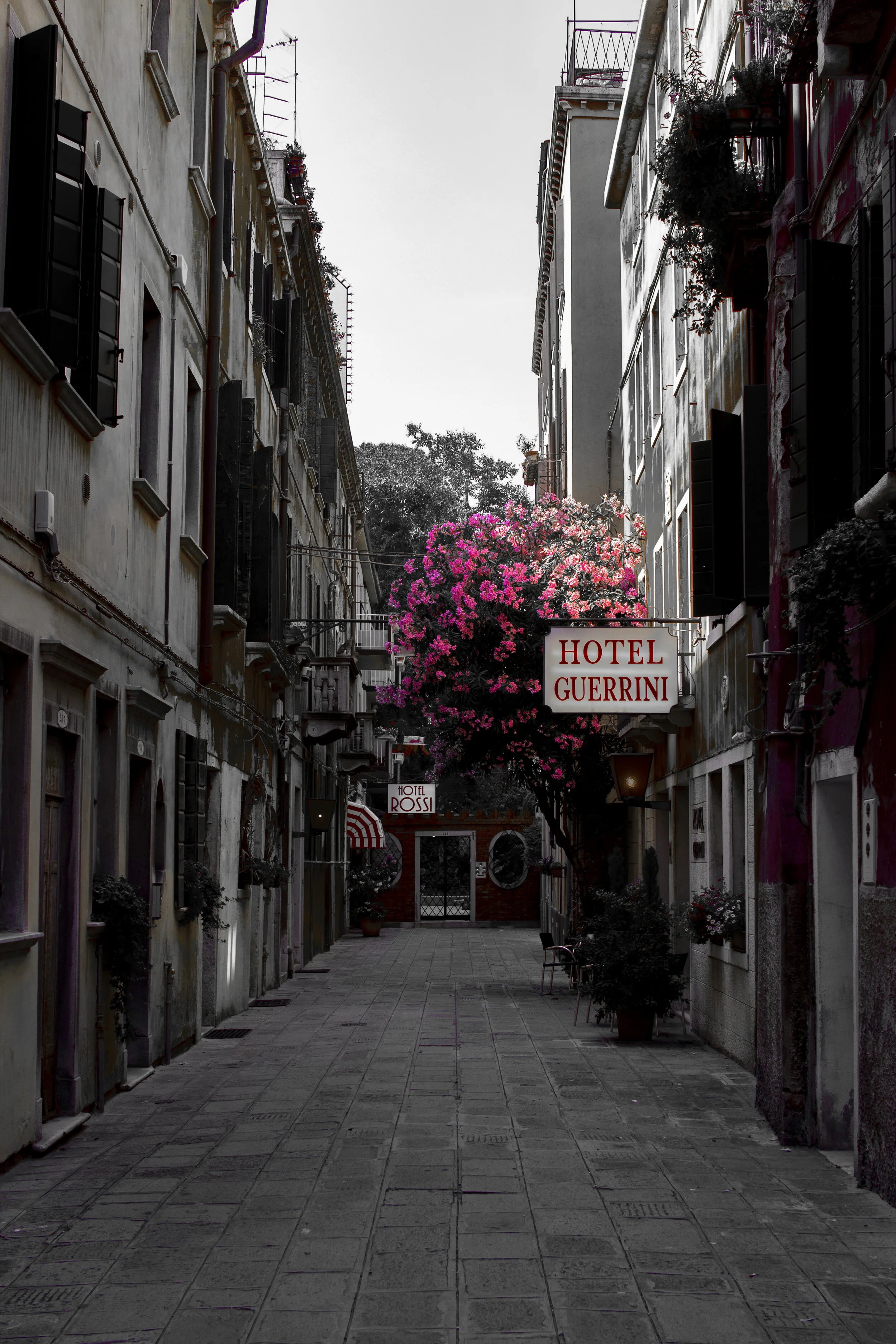 venice 5.jpg