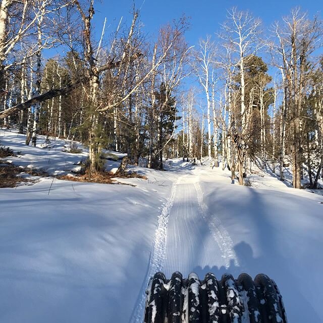 1/28, trails are in great shape, get out and ride! It&rsquo;s been a great season so far, let it snow #ridegroomed