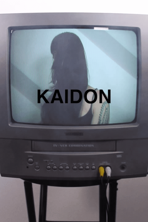 Kaidon.gif