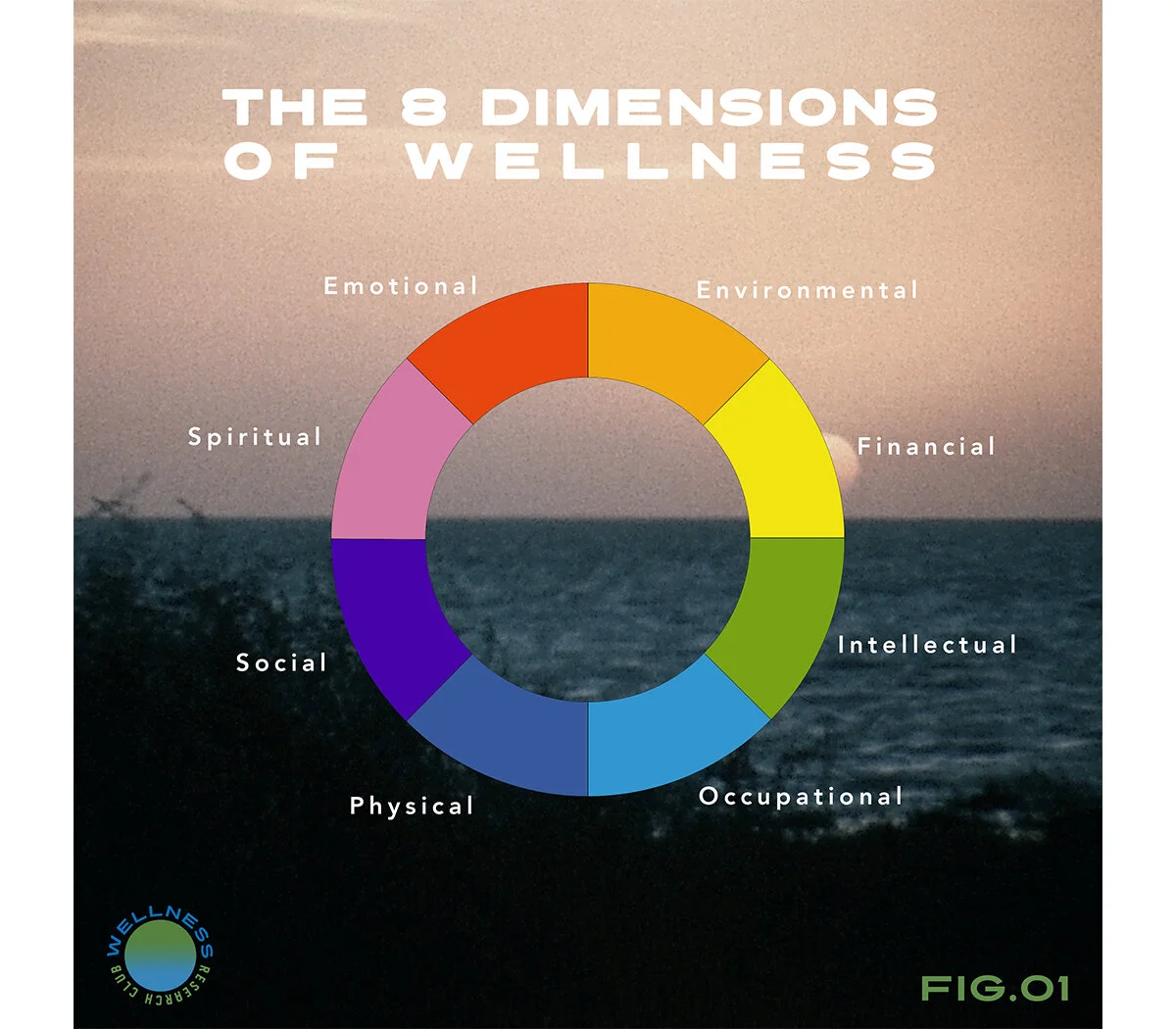 8dimensions-WRC.jpg