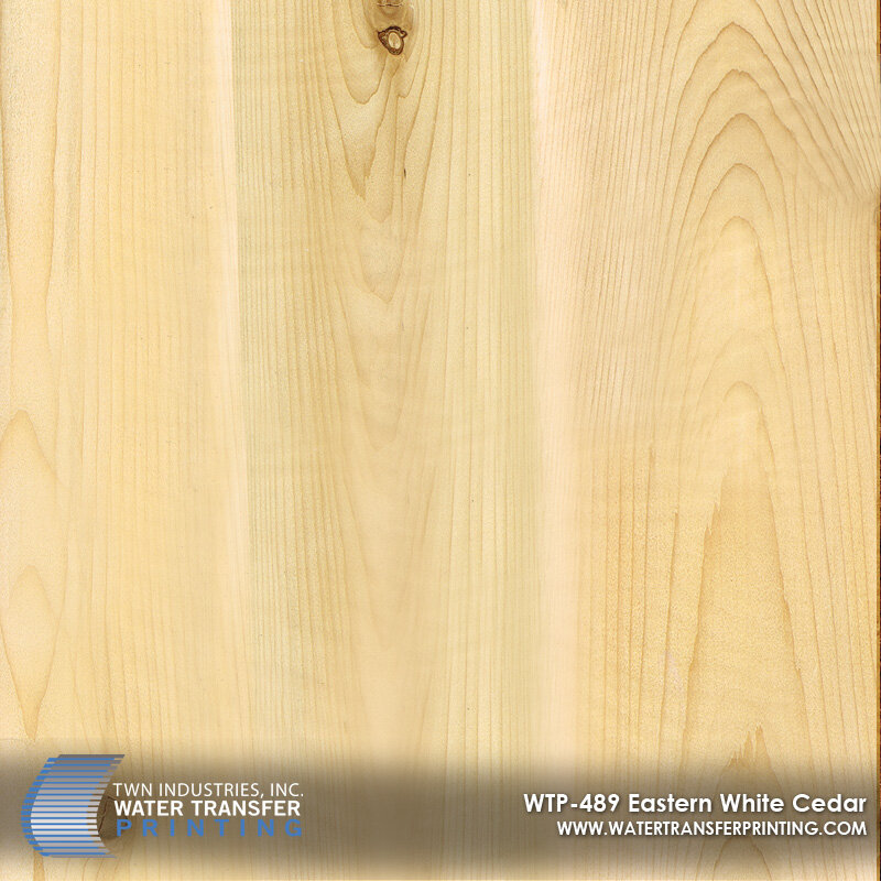WTP-489 Eastern White Cedar.jpg