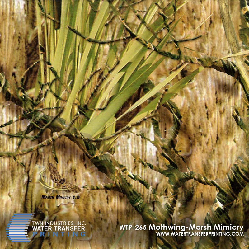 WTP-265 Mothwing-Marsh Mimicry.jpg
